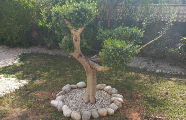 Casa Belle - Photo 55