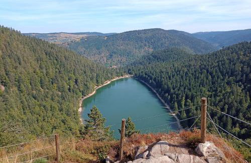 Notre Renardière, Gîtes à Saulxures-sur-Moselotte, Hautes-Vosges - Foto 53