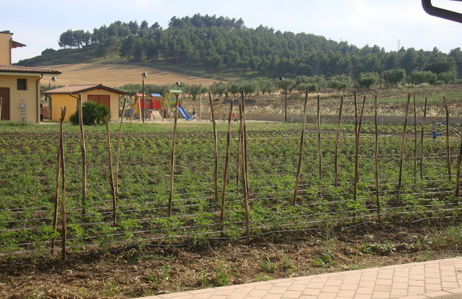 Agriturismo Fieri - Photo 41