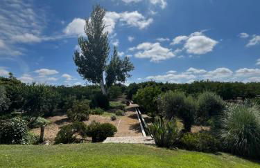 Casa de Campo, Quinta do Funchal - Foto 78