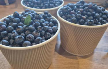 Apartamenty u Majki ,,Annówka''Frydman - Foto 14