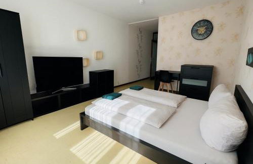 Helle 2-Zimmer Erdgeschosswohnung mit Terrasse - Foto 3