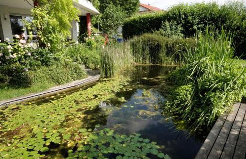 Apartment Green Elephant - Foto 43