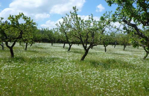 Chez-Antoinette - Foto 72