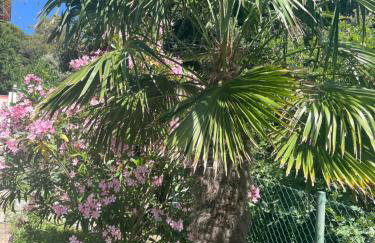 Villa Matovica - Photo 71