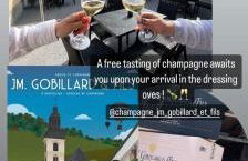 Les Loges Du Théatre 160m2 MAISON PRIVÉ 14 personnes MAX tout équipé a 200m de l'AVENUE DE CHAMPAGNE et toutes commodités DEGUSTATION CHAMPAGNE OFFERTE jacuzzi sauna jeux velos EMPLACEMENT EXCEPTIONNEL et CHIC - Foto 78