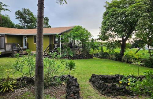 Hau' Oli' Io - Foto 4