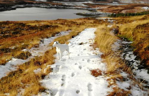The Fisherman's Snug self catering North Uist - Foto 66