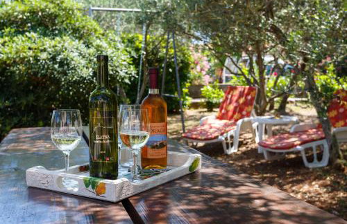 Apartmani Vršek - Foto 22