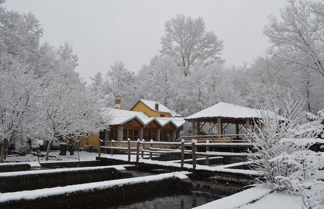 Farma Sotira - Foto 68