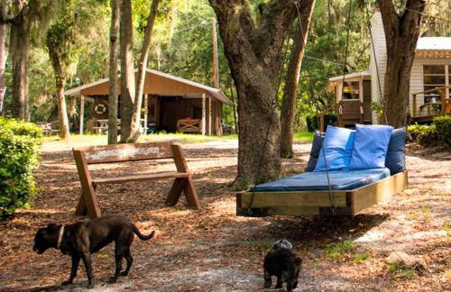 Spacious Cabin for a Group Getaway Overlooking Junior Lake in Florida - Foto 28