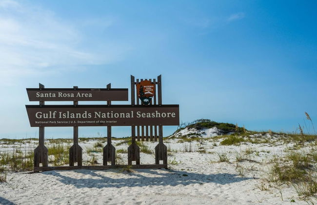 The Pearl 404 - Foto 45