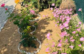 Lemon tree's house - Foto 40