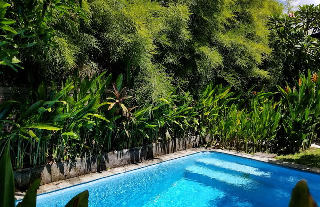 Kampoeng Bamboo - Foto 21