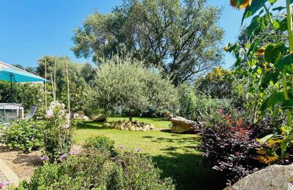 Mini Villa Pascal Paoli avec piscine - proche mer - Foto 13