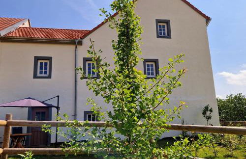 Ferienhaus "Entenhaus" im Gutshaus De La Fontaine - Foto 2