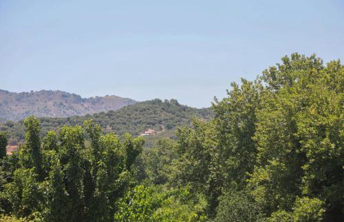 Tzei House - Foto 17