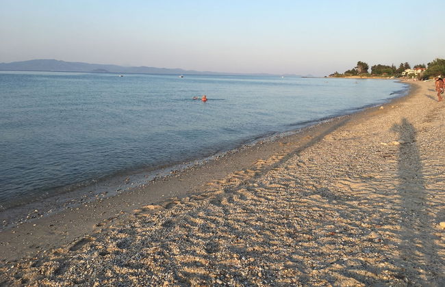 Calista Luxury Appt - Photo 14