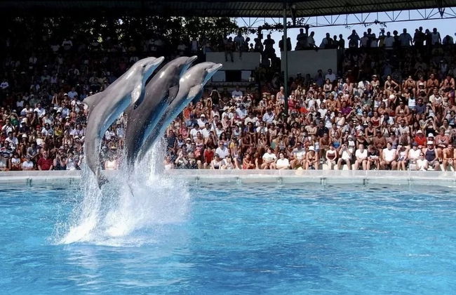 Albufeira - Apartment - Sleeps 4 - Seaside - Foto 14