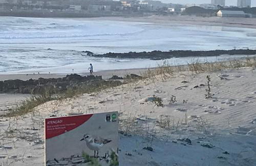 Árvore Cozy com Jardim - Foto 41