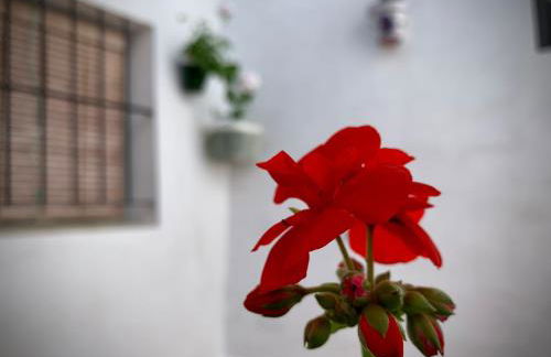 Casa Rural Sierra Tórtola 1 - Foto 61