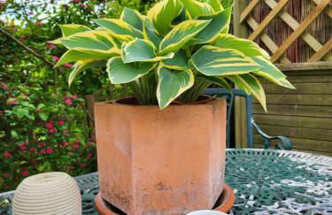 Escape the Ordinary - Photo 20