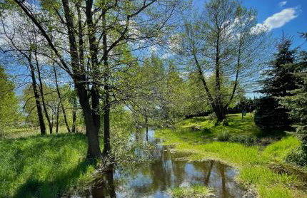 Cichy Zakątek dom całoroczny , Janowiec, Kazimierz Dolny, - Foto 62