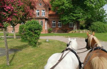 Gutshaus Thorstorf FeWo Poel - Foto 2