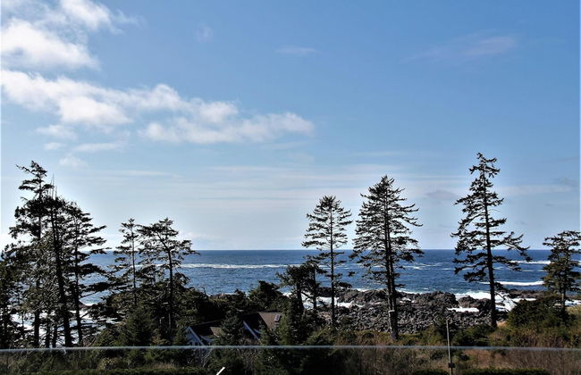 Pacific Rim Retreat - Photo 31