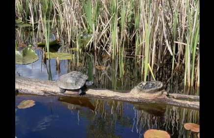Beautiful Private Lake Lodge with Private Dock and Mountain Views - Foto 39