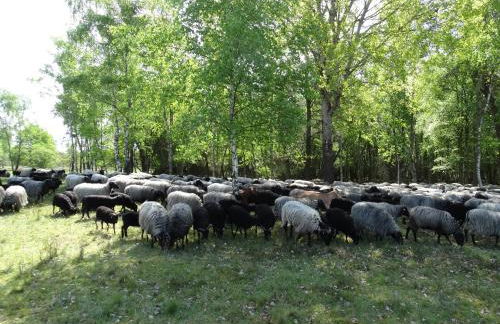 Landhaus Eichengarten - Foto 21