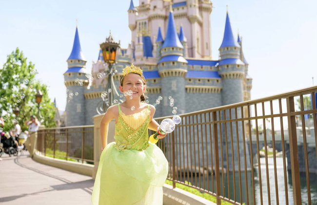 Biglietti per Walt Disney World Resort Orlando - Foto 2