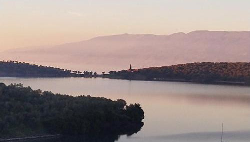 '' I FOLIA '' / ' 'LE NID '' - Foto 2