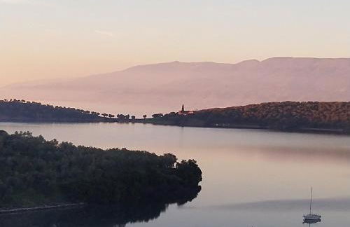 '' I FOLIA '' / ' 'LE NID '' - Foto 2