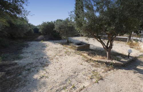 Ulivi di Cleo - Foto 47