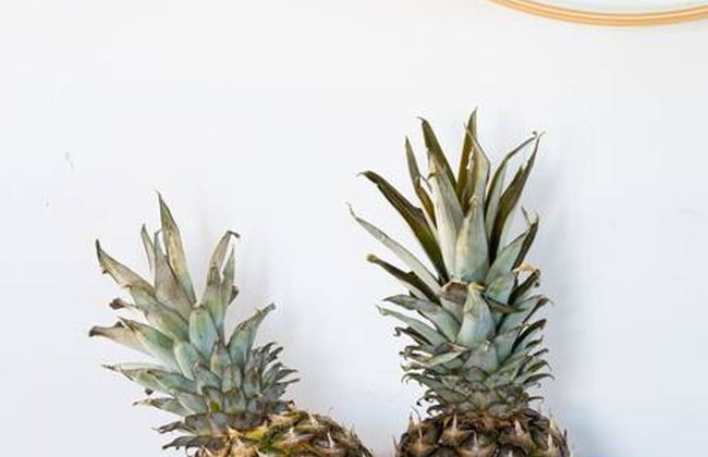 Cozy 2 BR Home With hot tub and Patio - Foto 6