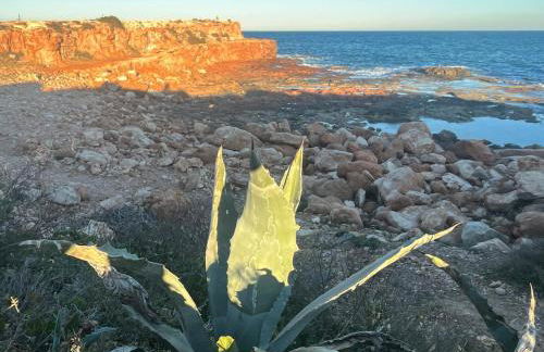 La Mata Apartment, Spain - Foto 72