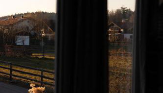 Pura Apartments - Foto 5