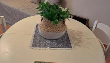 Terrazza Miracapri - Foto 4