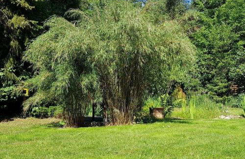 Holiday home with 3 bedrooms - Photo 11