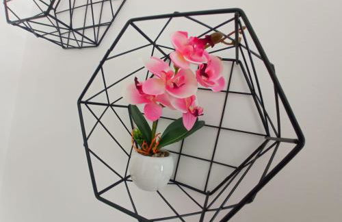 La ramasola & il datterino - Foto 69