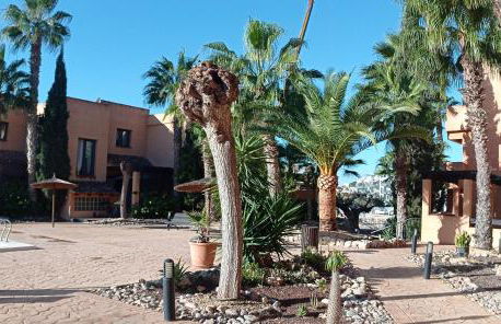 Luxury large 2 bedroom Apartment 10 min walk to Villamartin Plaza - Foto 25