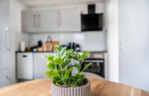 Helles Rooftop Serviced Apartment an der Schweizer Grenze - Foto 10