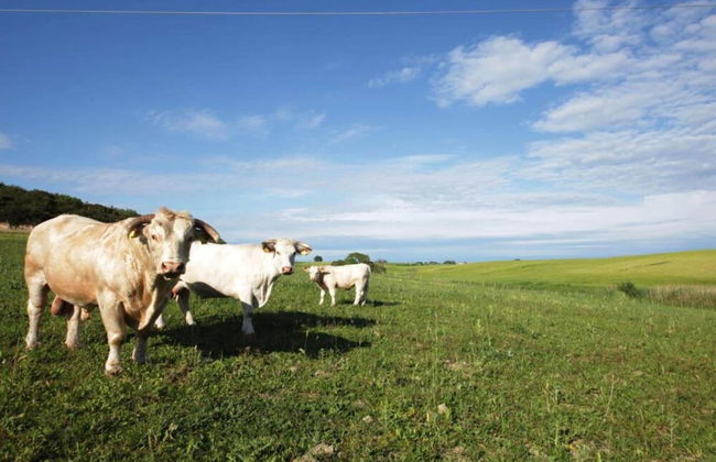 Farmhouse Near Montalto di Castro Beaches - Foto 34