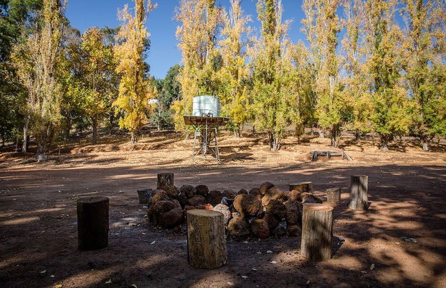 Murphy's Cottage - Foto 22