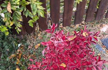 Villa Biancospino - luxury and private villa in Langhe - Foto 40