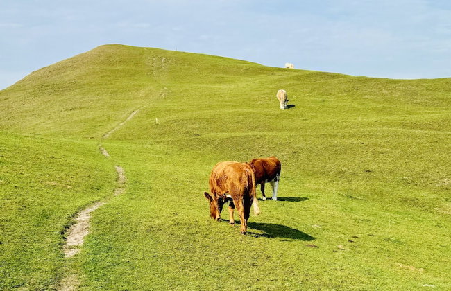 Kåseberga Hideout - Foto 52