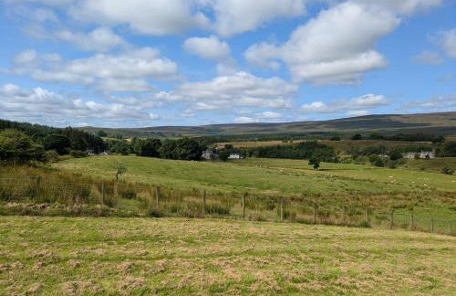 Pet Friendly - Lodge at Riverview Holiday Park - Foto 23