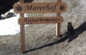 Marerhof - Foto 7