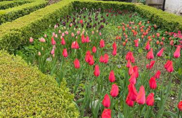 Bartley Mill Farmhouse - Photo 26